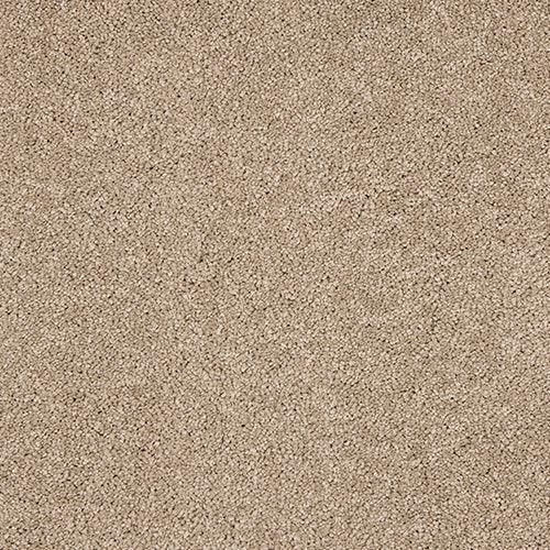 Velvet Dreams Mouseback Carpet - Mouseback / 2.5m