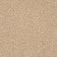 Velvet Dreams Soft Buff Carpet - Soft Buff / 2.5m