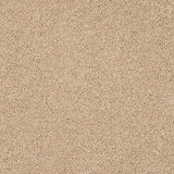Velvet Dreams Soft Buff Carpet - Soft Buff / 2.5m