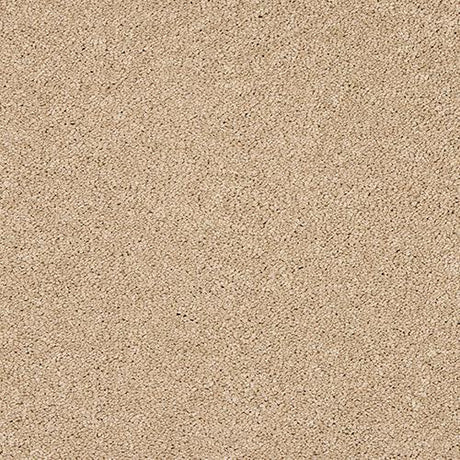 Velvet Dreams Soft Buff Carpet - Soft Buff / 2.5m