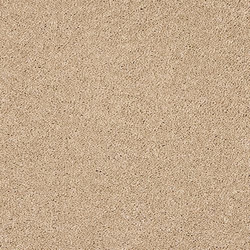 Velvet Dreams Soft Buff Carpet - Soft Buff / 2.5m