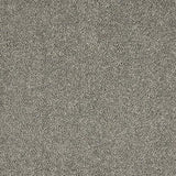 Velvet Dreams Charlestone Carpet - Charlestone / 2.5m