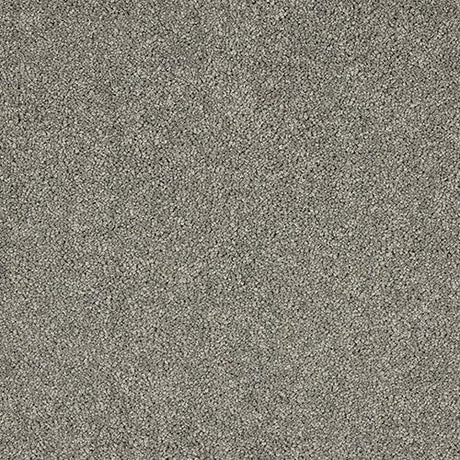 Velvet Dreams Charlestone Carpet - Charlestone / 2.5m