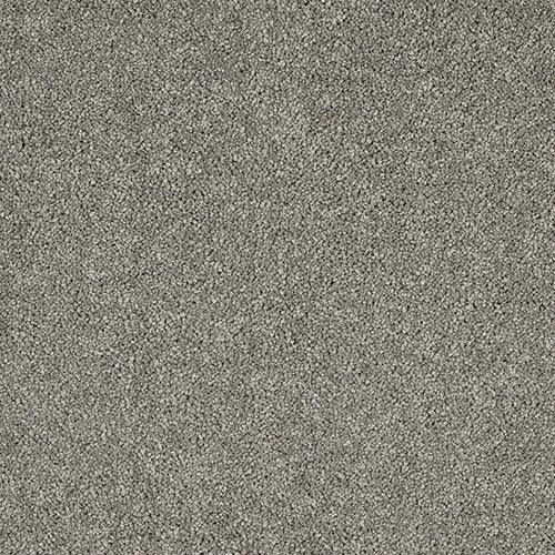 Velvet Dreams Charlestone Carpet - Charlestone / 2.5m