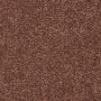 Velvet Dreams Autumn Ember Carpet - Autumn Ember / 2.5m