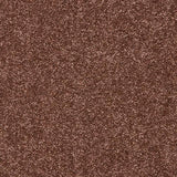 Velvet Dreams Autumn Ember Carpet - Autumn Ember / 2.5m