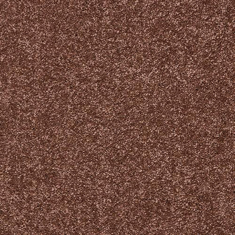 Velvet Dreams Autumn Ember Carpet - Autumn Ember / 2.5m