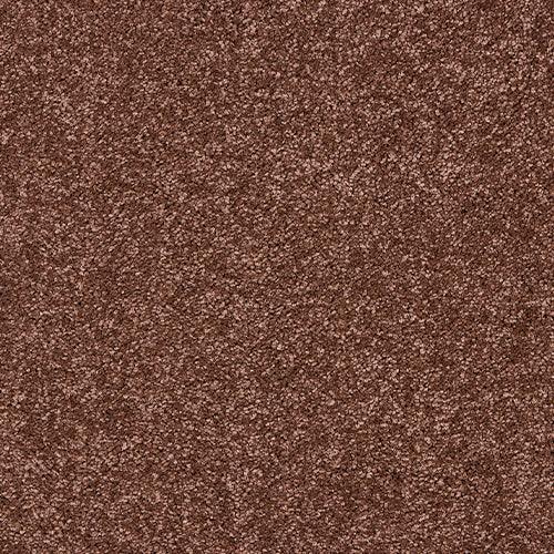 Velvet Dreams Autumn Ember Carpet - Autumn Ember / 2.5m