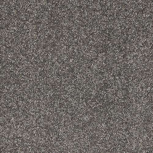 Velvet Dreams Manor House Grey Carpet - Manor House Grey / 2.5m