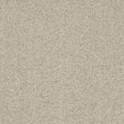 Velvet Dreams Mist Carpet - Mist / 2.5m