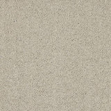 Velvet Dreams Mist Carpet - Mist / 2.5m