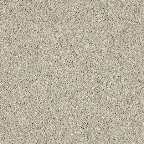 Velvet Dreams Mist Carpet - Mist / 2.5m