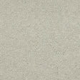Velvet Dreams Stone Yard Carpet - Stone Yard / 2.5m