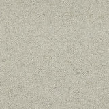 Velvet Dreams Stone Yard Carpet - Stone Yard / 2.5m