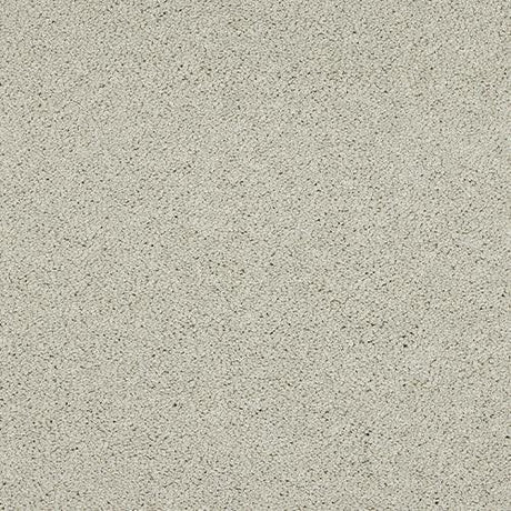 Velvet Dreams Stone Yard Carpet - Stone Yard / 2.5m