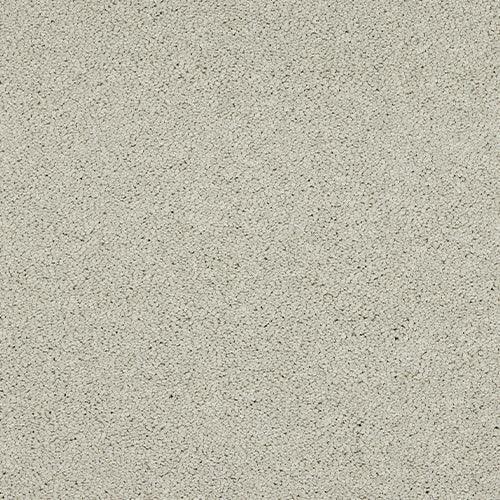 Velvet Dreams Stone Yard Carpet - Stone Yard / 2.5m
