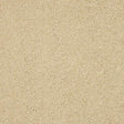Velvet Dreams Double Cream Carpet - Double Cream / 2.5m