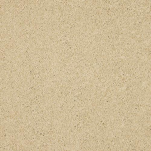 Velvet Dreams Double Cream Carpet - Double Cream / 2.5m