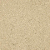 Velvet Dreams Double Cream Carpet - Double Cream / 2.5m