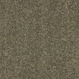 Velvet Dreams Dusty Fern Carpet - Dusty Fern / 2.5m
