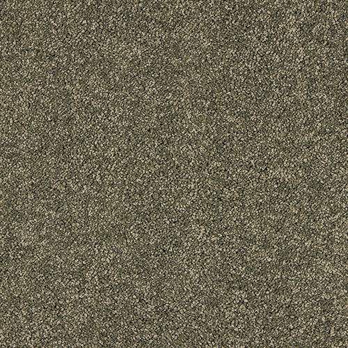 Velvet Dreams Dusty Fern Carpet - Dusty Fern / 2.5m