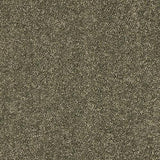 Velvet Dreams Dusty Fern Carpet - Dusty Fern / 2.5m