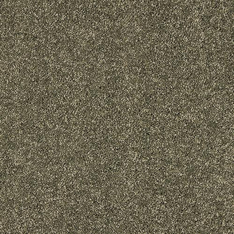 Velvet Dreams Dusty Fern Carpet - Dusty Fern / 2.5m