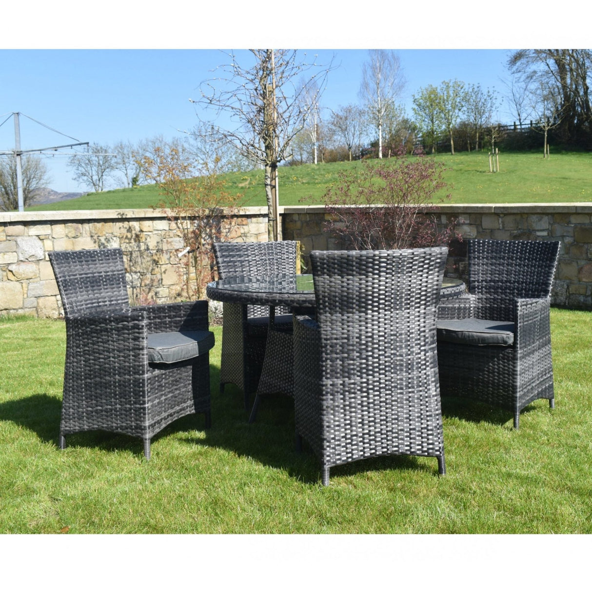 5 Piece Dark Rattan Dining Set