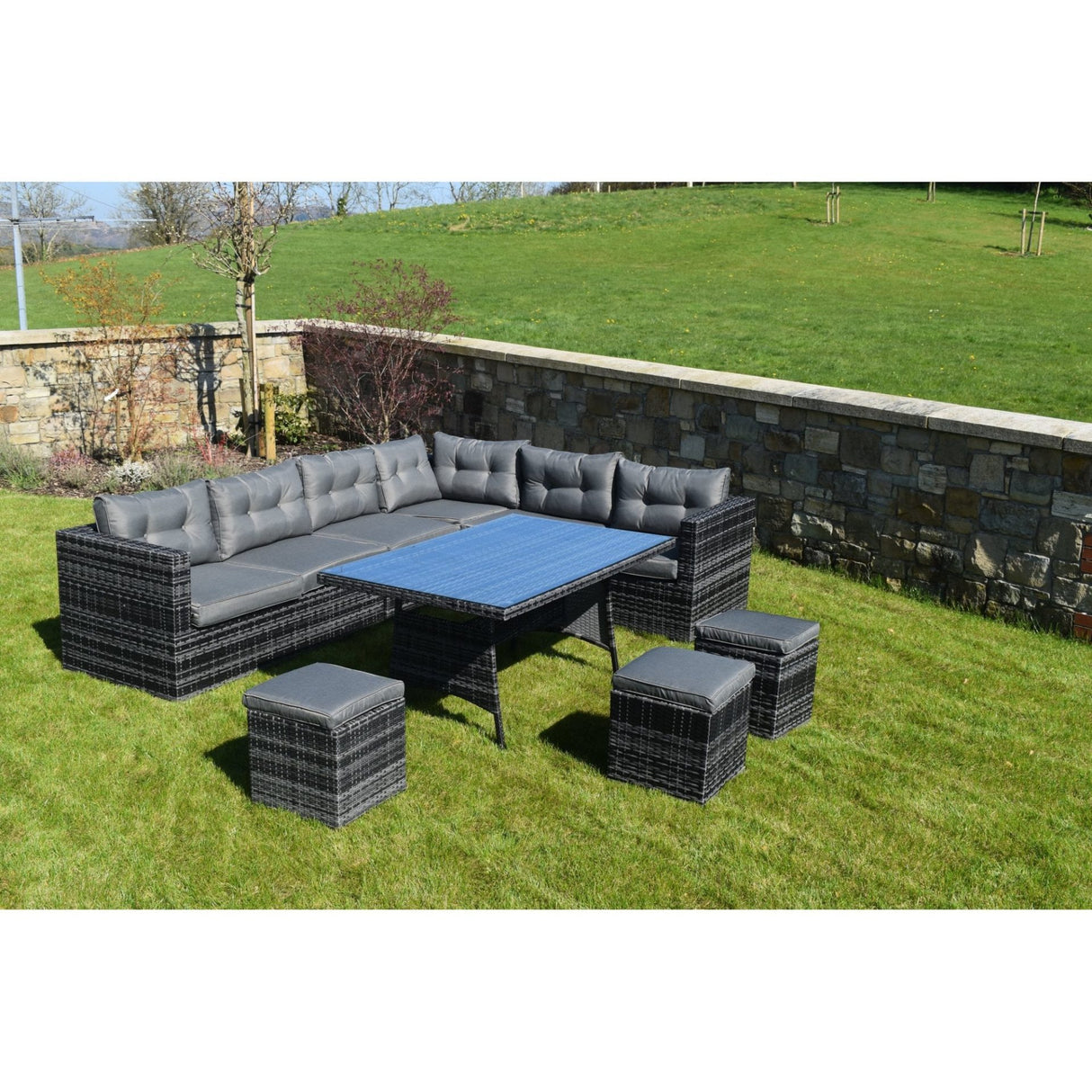 10 Piece Dark Rattan Dining Set