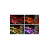 Polaris 1525 Wall Hung Electric Fire