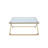 Axel Gold Metal Coffee Table with Clear Glass- 2 Parts