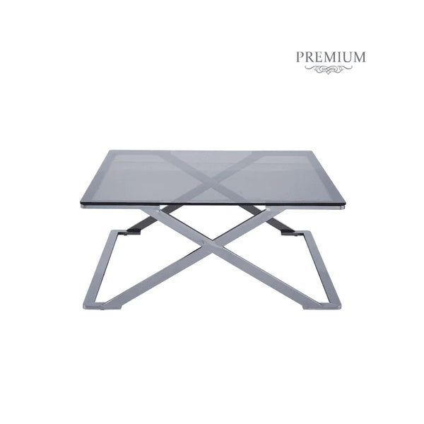 Axel Grey Gunmetal Coffee Table with Smoke Glass- 2 Parts