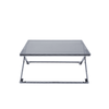 Axel Grey Gunmetal Coffee Table with Smoke Glass- 2 Parts