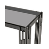 Cohen Black Gunmetal Steel Tubes and Smoke Glass Top Console Table - Black Bottom Glass