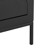 Brixton 2 Door Chest