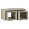 Marlow Coffee Table With 2 Under Tables