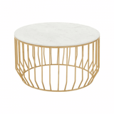 Addison White Marble And Gold Coffee Table