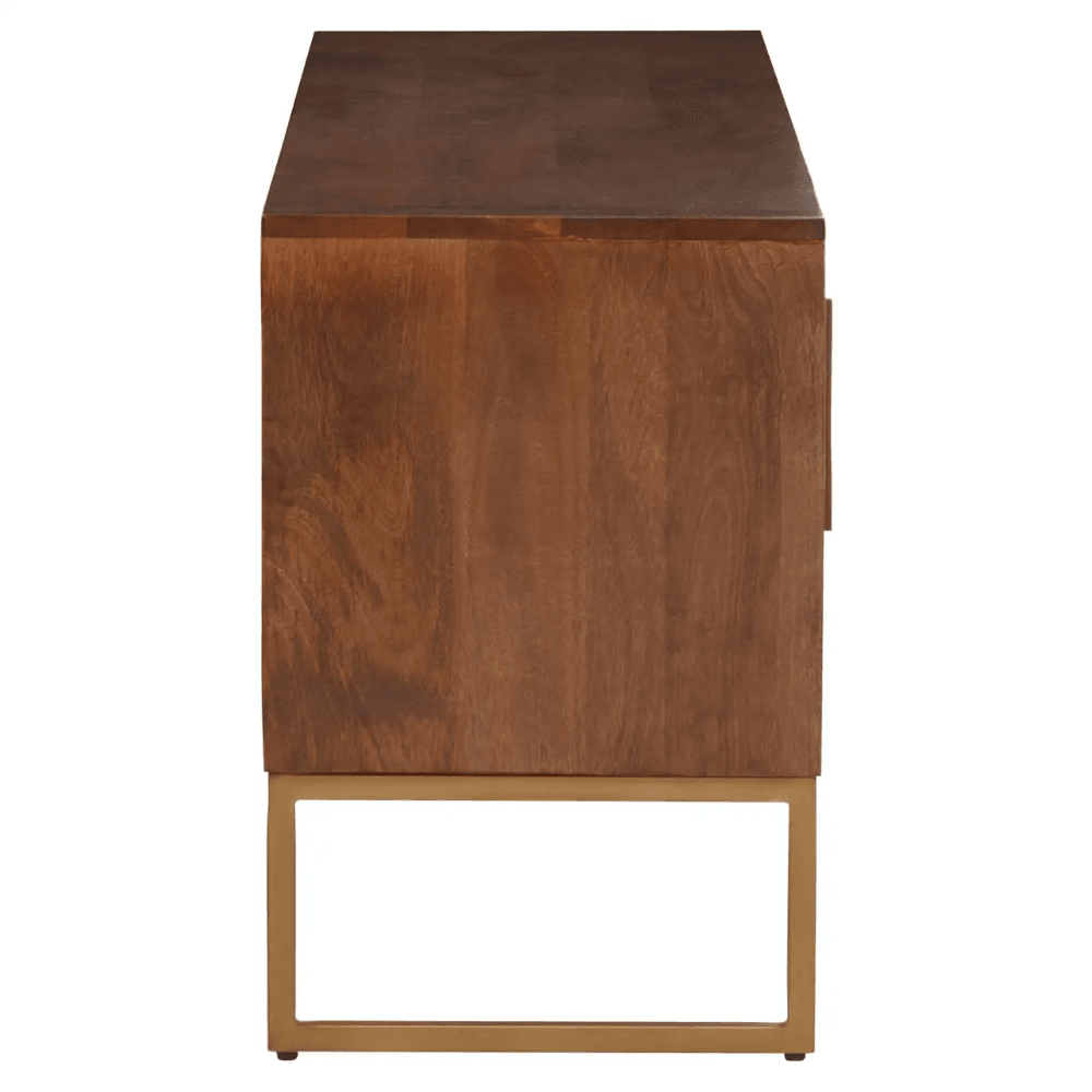 Anisa Large Media Unit