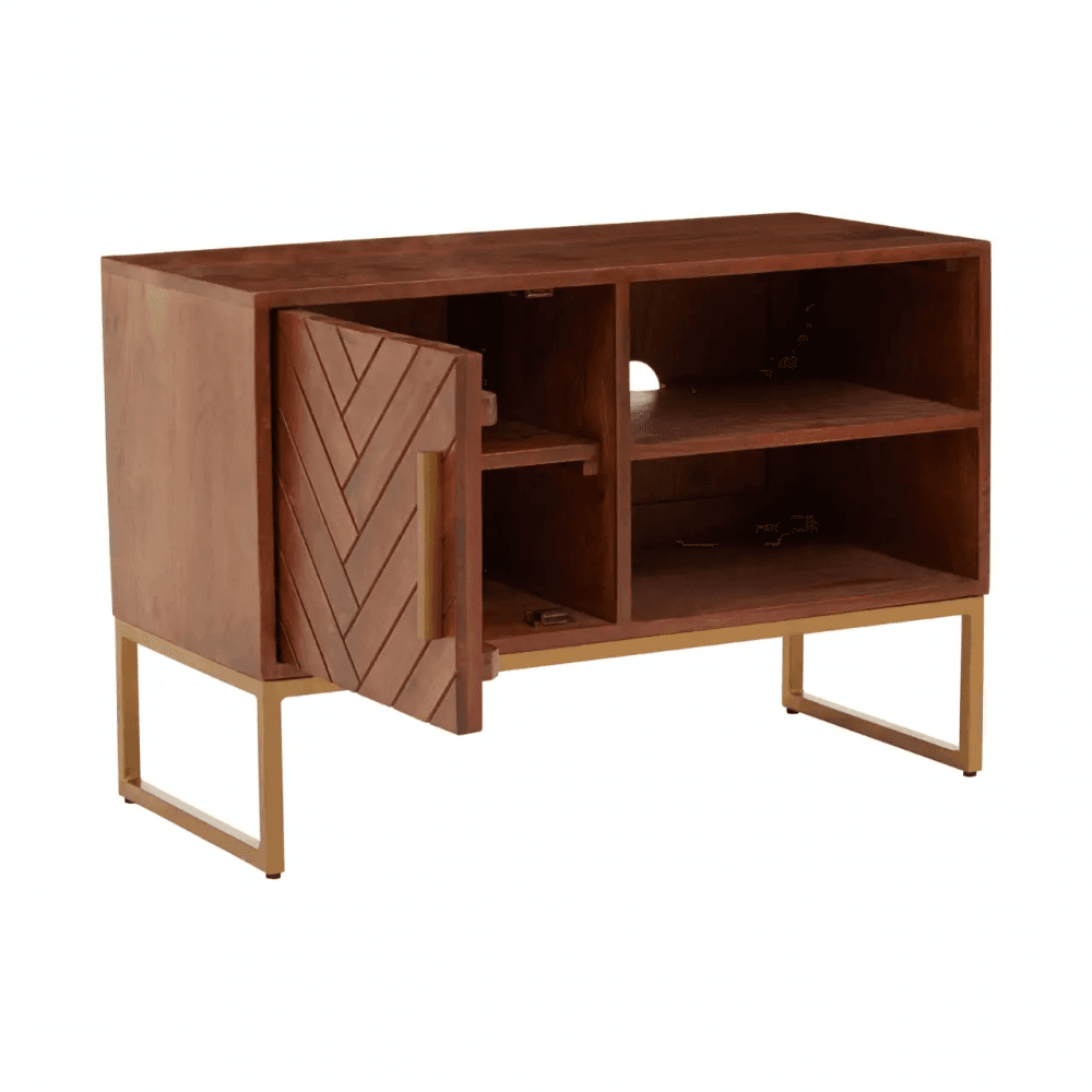 Anisa Small Media Unit