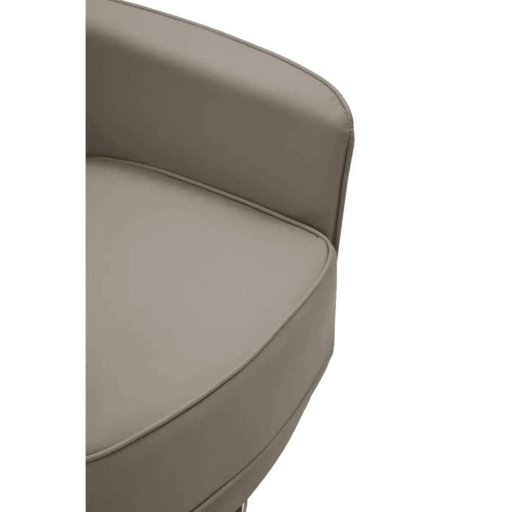 Kingsley Mink Leather Effect Chair
