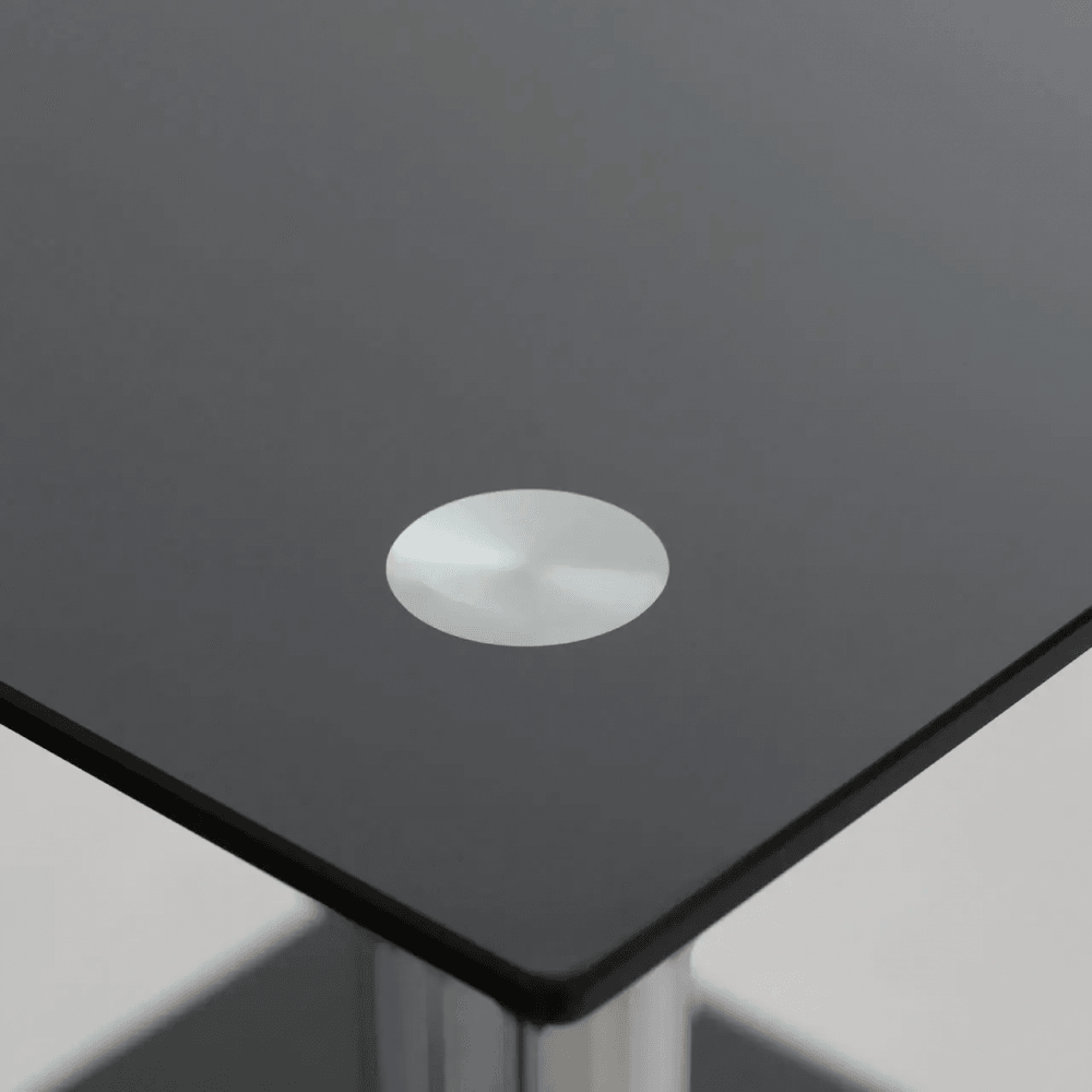 Alden 2 Tier Black Glass End Table
