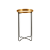 Titan Gold Finish Round Top Side Table