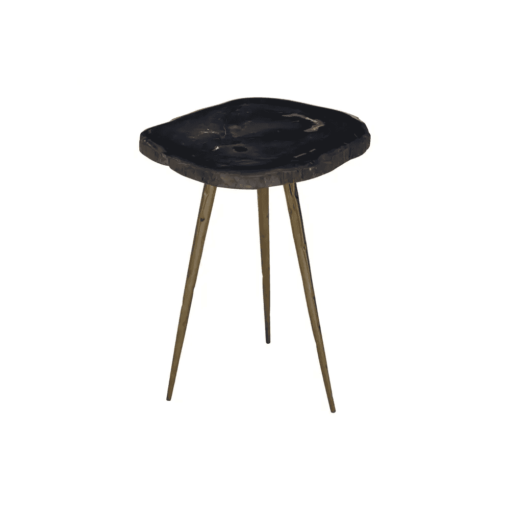Sterling Side Table With Petrified Wood Top
