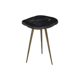 Sterling Side Table With Petrified Wood Top