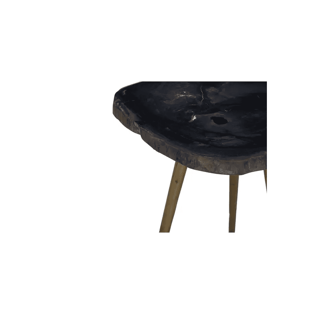 Sterling Side Table With Petrified Wood Top
