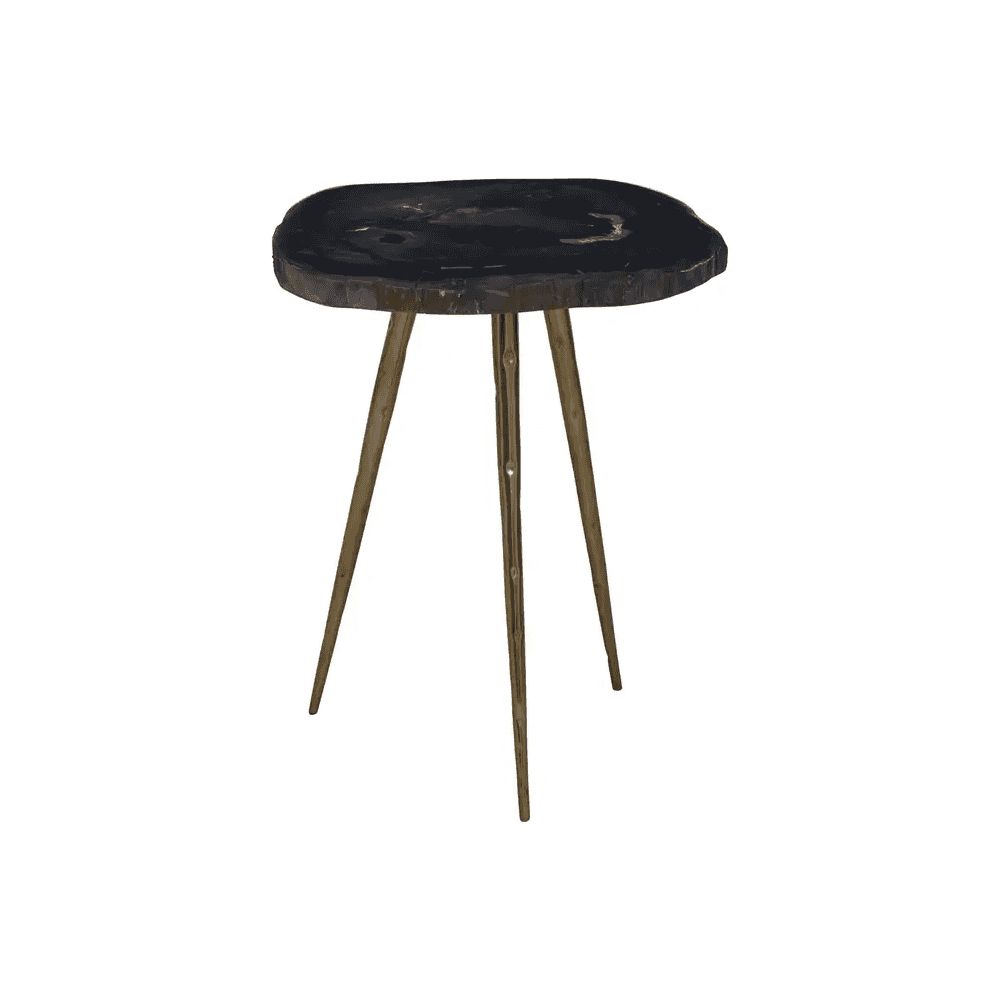 Sterling Side Table With Petrified Wood Top