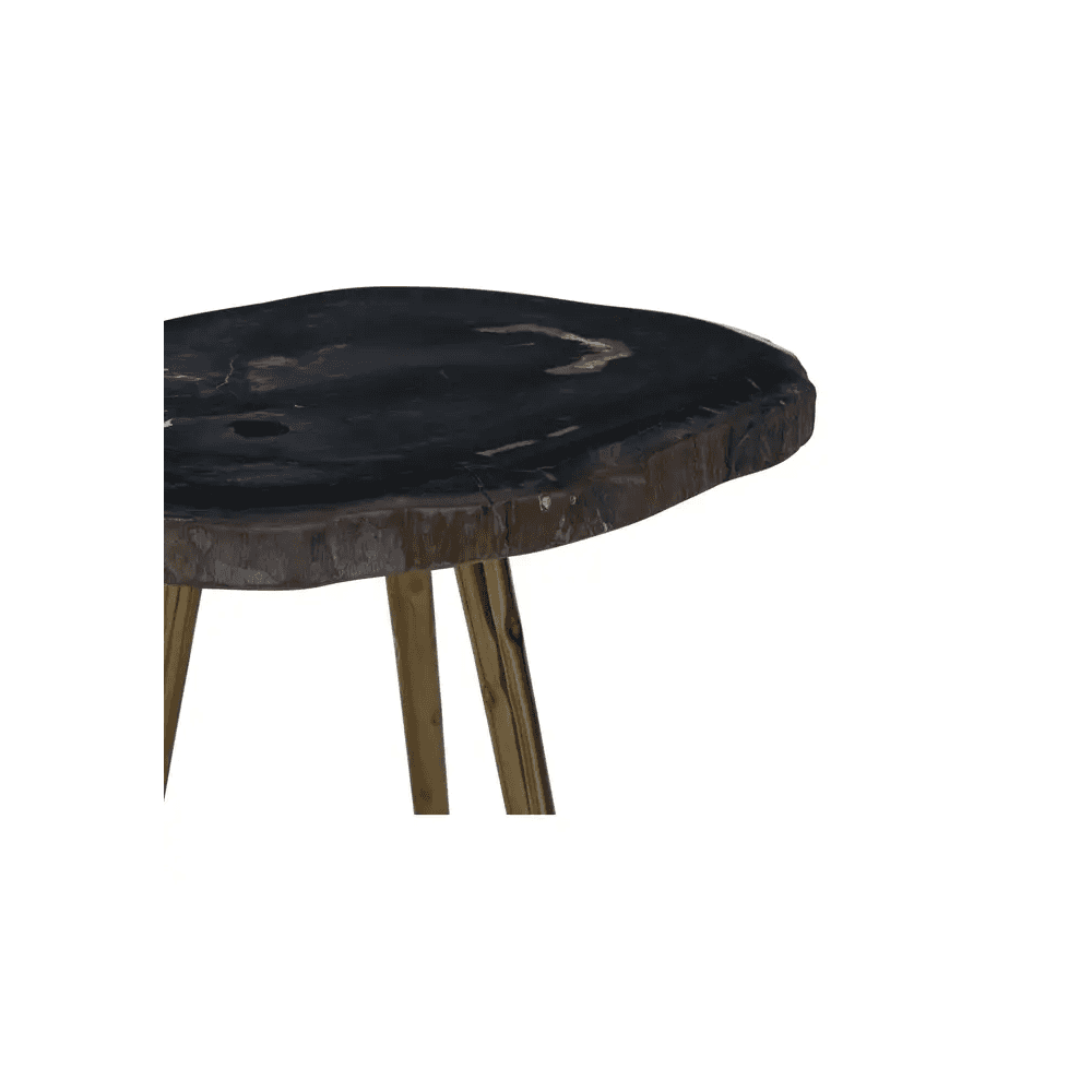 Sterling Side Table With Petrified Wood Top