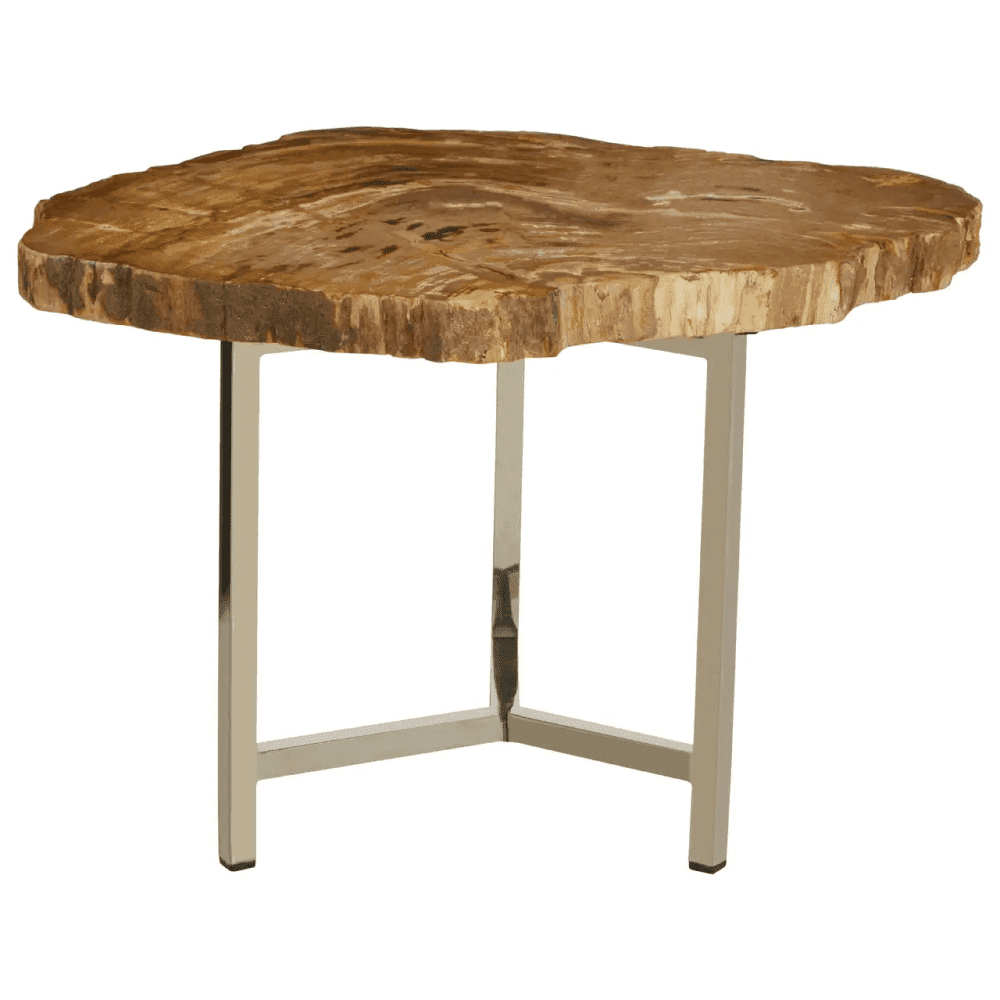 Sterling Small Petrified Wood Side Table