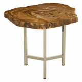 Sterling Small Petrified Wood Side Table