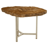Sterling Small Petrified Wood Side Table